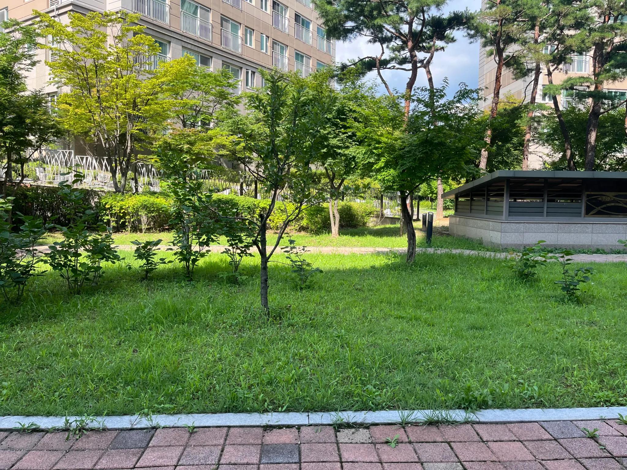 Co Working Space