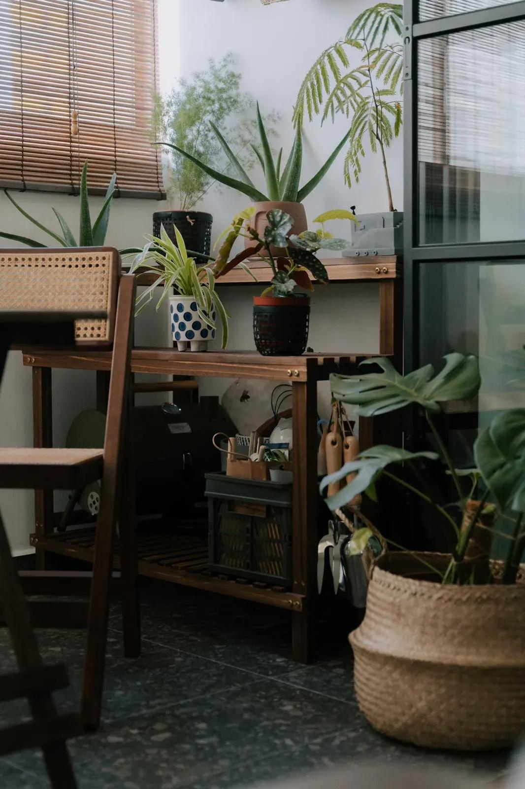 Co Working Space