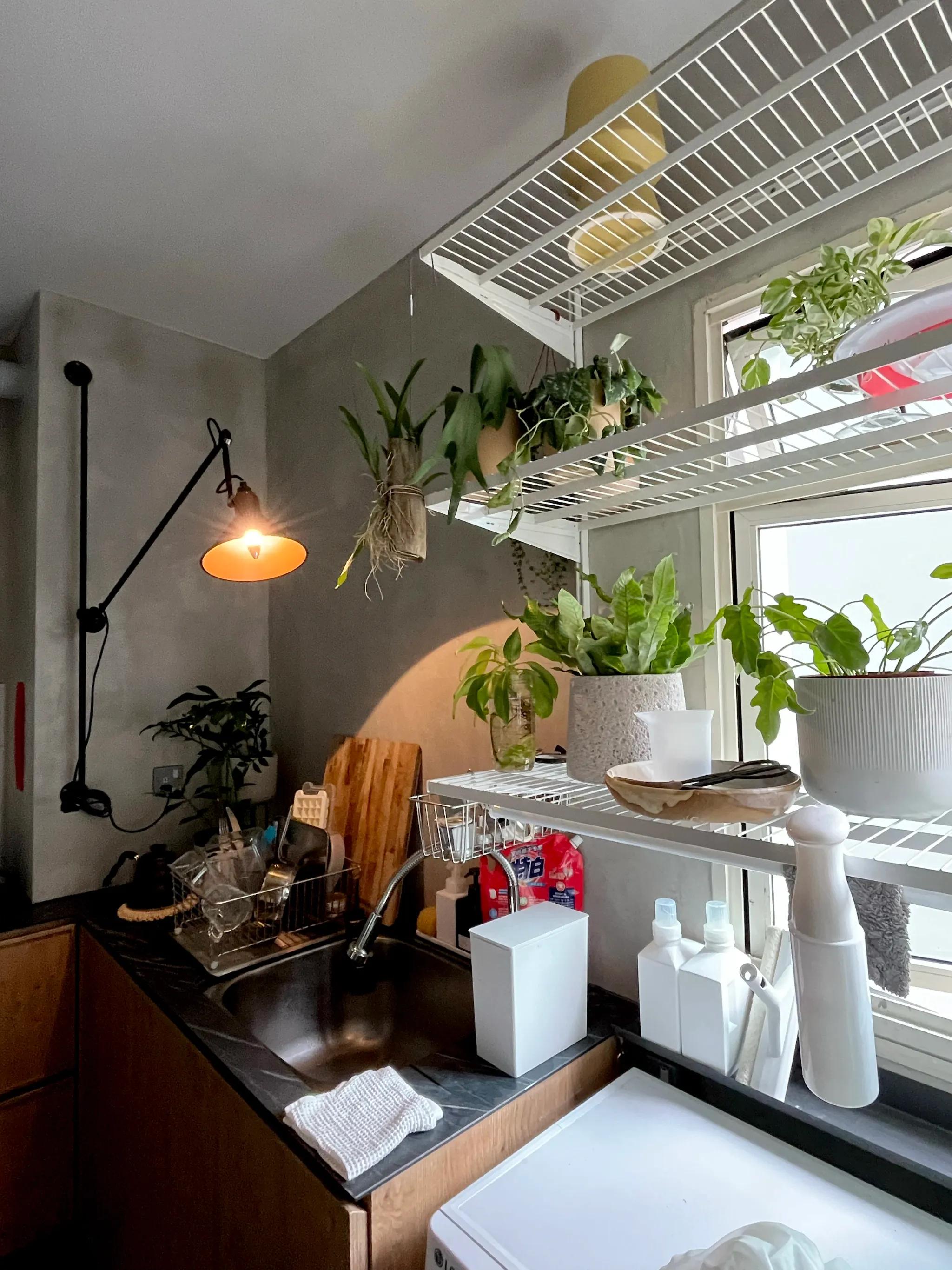 Co Working Space